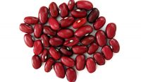 PREMIUM HIGH-PROTEIN RED KIDNEY BEANS From Tanzania