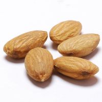 Premium Quality Almonds Available For Bulk Orders Fresh Natural Almonds With High Nutrition And Healthy Benefits From Tanzania