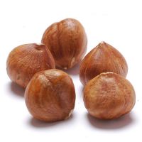 Natural Hazelnuts Crunchy Hazelnuts Ideal For Baking Snacks And Topping Sweet Treats With Rich Taste From Tanzania