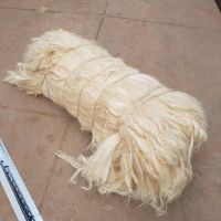 Sustainable Sisal Fiber With Strong Fiber Content Premium Sisal Fiber For Cordage Rope And Handicraft Industries From Tanzania