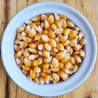 Premium Yellow Corn Natural Sweet Yellow Corn Ideal For Industrial Food Manufacturing And Bulk Export Wholesale Orders From Tanzania