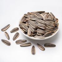 Premium Quality Sunflower Seed For Bulk Export And Wholesale Supply Sunflower Seed With High Oil Content And Natural Freshness From Tanzania