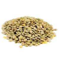 Sortex Cleaned Green Lentils Bulk Supply Green Lentils With High Protein And Natural Green Color For Export From Tanzania