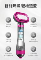 Upgraded Pet Hair Dryer Brush, 2 In 1 Pet Grooming Dryer