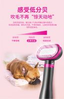 Upgraded Pet Hair Dryer Brush, 2 In 1 Pet Grooming Dryer