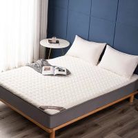 Latex Thickened Mattress