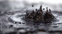 Crude Oil