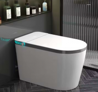 Smart Toilet