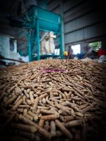 Organic Sunflower Meal Pellet