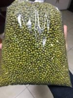 green mung beans