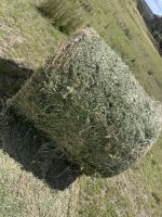 Alfalfa hay, animal feed, cattle feed, horse feed, hay, chicken feed