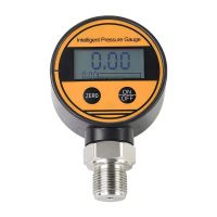 Digital Pressure Gauge  From China