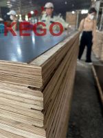 28mm Container Flooring Board