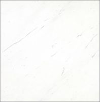 Ariston white