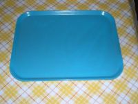 Tray For Catering