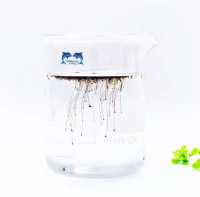 Agricultural Grade Soluble Biochemical Mineral Humic Acids Granule Potassium HumateOrganic Fertilizer Price From China