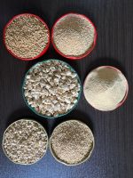 corn cobs From Egypt