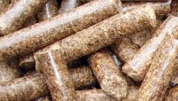 Wood Pellets / Biomass Wood Pellets / Biomass Energy Wood Pellets