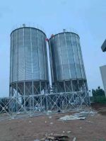 Poultry Feed Farm Silo Grain Silos for Sale Rice Husk Silo From China