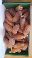 Sweet Semi-Dry Dates Supplier From Algeria, Best Price Dates Wholesale Factory (OEM, ODM)