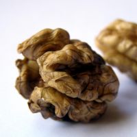 Walnuts Factory Direct Sale Wholesale Price Organic Nuts Inshell Walnuts And Walnuts Kernels From Malaysia