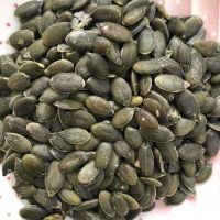 Wholesale Bulk Grade Pumpkin Seeds Shine Skin Pumpkin Seeds Kernels From Malaysia
