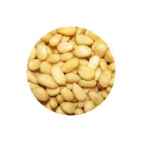 Pine Nut Kernels In Vacuum Bags Bulk Top Quality Sustainably Sourced Naturally Produced Raw