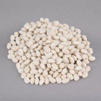 Wholesale White Kidney Beans Large Size White Kidney Beans Export/quality White Kidney Beans