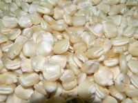 White Corn Grains Food Grade (White Maize for Sale ).