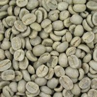 Premium Arabica &amp; Robusta Roasted Coffee Beans with Kosher Certificate