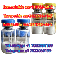 Retatrutide cas 2381089-83-2 HCG Selank Epithalon peptides products