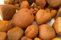 Cattle Gallstones/cow Gallstones For Sale