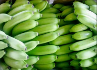 Fresh Cavendish Banana High Quality and Cheap price  From Netherlands