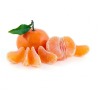 100%Fresh Navel Orange Fruit For Sale