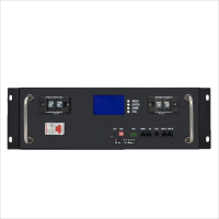 ODM/OEM 51.2V 100AH Ã