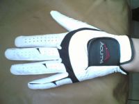 SPORT GLOVE