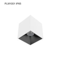 Specular Surface mounted Downlight PLM1001 IP65