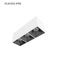 Specular Surface mounted Downlight PLM1003 IP65