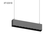 LED Pendant Light XT-DX10