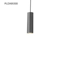 LED Pendant Light PLDX95300