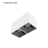 Specular Surface mounted Downlight PLM1002 IP65