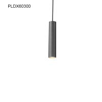 LED Pendant Light PLDX60300