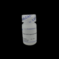 Protein A/G-agarose beads