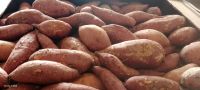 Fresh Sweet Potatoes