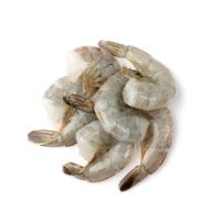 Ecuadorian Shrimp - HLSO (Headless Shell-On)