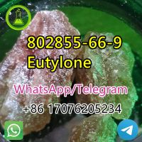 Eutylone cas 802855-66-9	High purity low price	Lower price	a