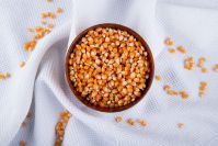 Maize (Corn