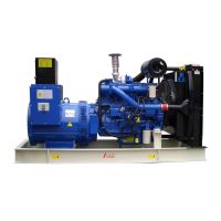 Perkins Power Generator Supplier 200kva Diesel