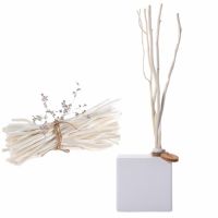 Reed diffuser willow reed stick