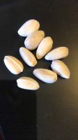 Pistachio
